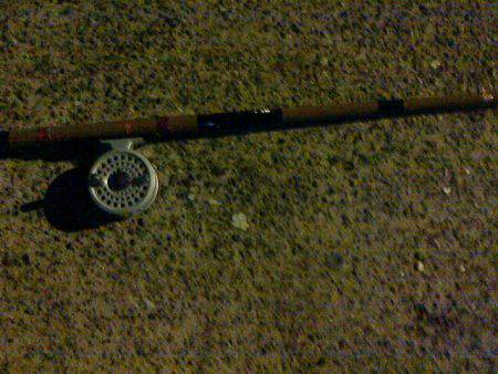 夜の五目釣り？